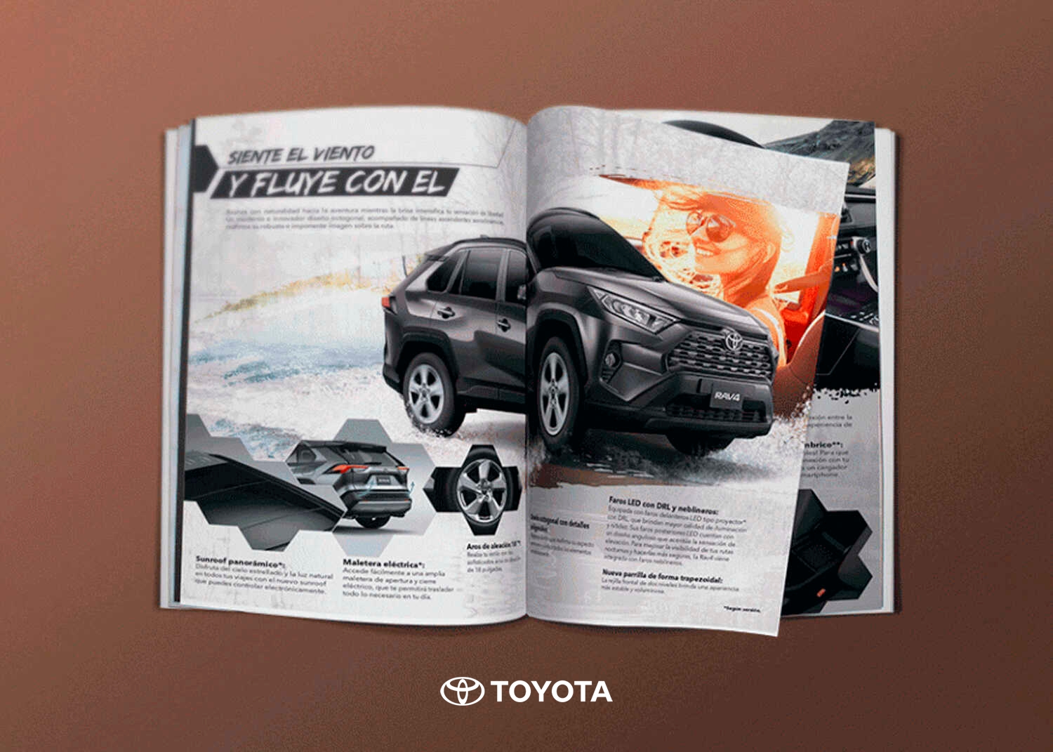 Catálogo: Toyota Rav 4